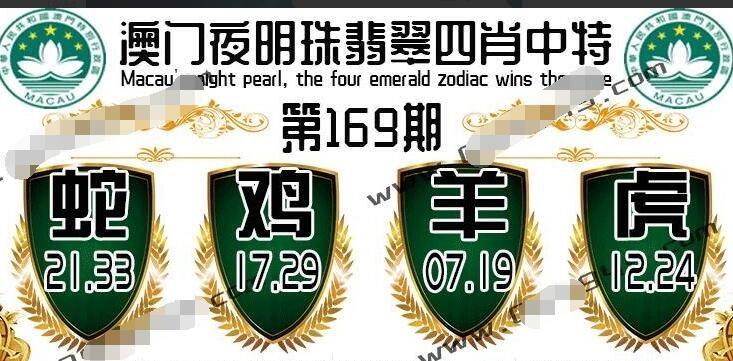 澳门精准一肖一码100%,设计策略快速解答_整版DKJ656.74