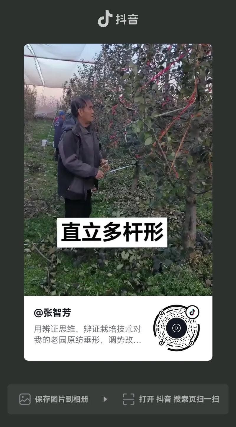 澳门摇钱树网站期期准,绝对策略计划研究_社交版40.12.0