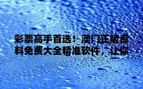 2020年澳门精准全年资料大全,设计策略快速解答_整版DKJ656.74