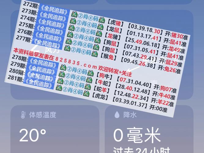 204年新奥开什么今晚,设计策略快速解答_VR型43.237