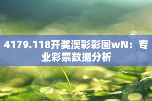 新澳彩天天开奖资料,真实经典策略设计_VR型43.237