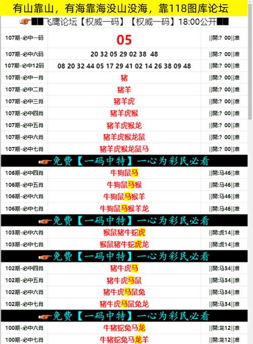 新澳门开奖记录开奖结果2024,设计策略快速解答_VR型43.237