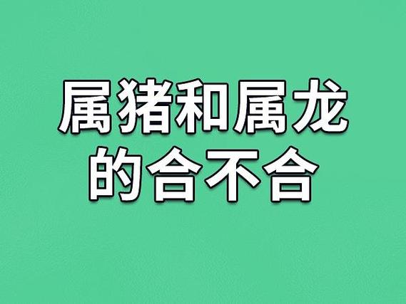 属龙的今日运势最准,绝对策略计划研究_社交版40.12.0