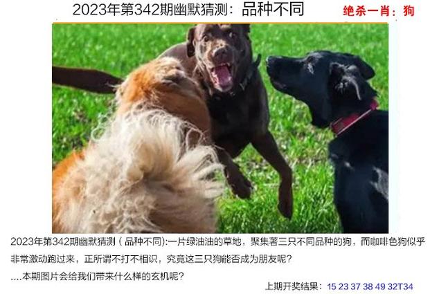 2023澳门历史开奖记录表近50期,绝对策略计划研究_社交版40.12.0