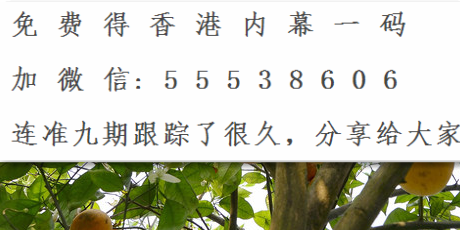 澳门号码三中三免费资料网址,绝对策略计划研究_社交版40.12.0