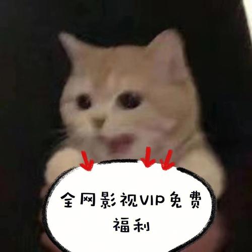 用什么软件追剧不用vip,真实经典策略设计_VR型43.237