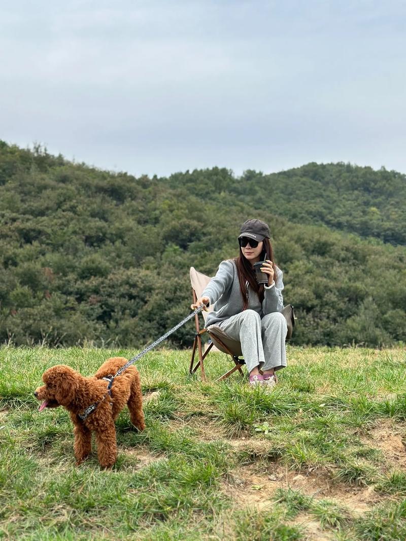 那山那人那狗,绝对策略计划研究_社交版40.12.0