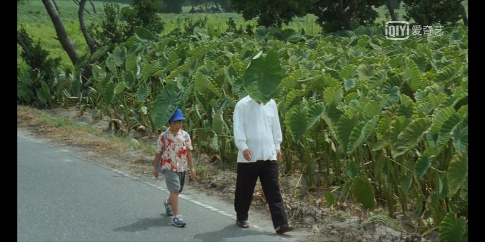 菊次郎的夏天电影原声,设计策略快速解答_整版DKJ656.74