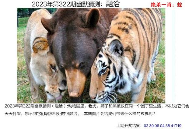 2023澳门免费精准资料赤兔版,绝对策略计划研究_社交版40.12.0