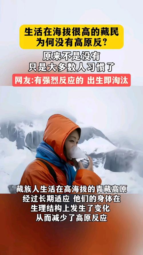 景区女游客高反去世,高原反应的女游客