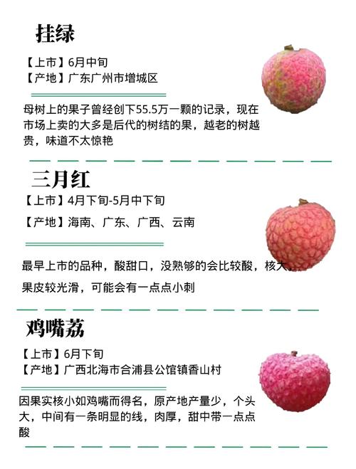 澳门49图库和空腹吃荔枝得荔枝病与空腹吃荔枝得荔枝病怎么办